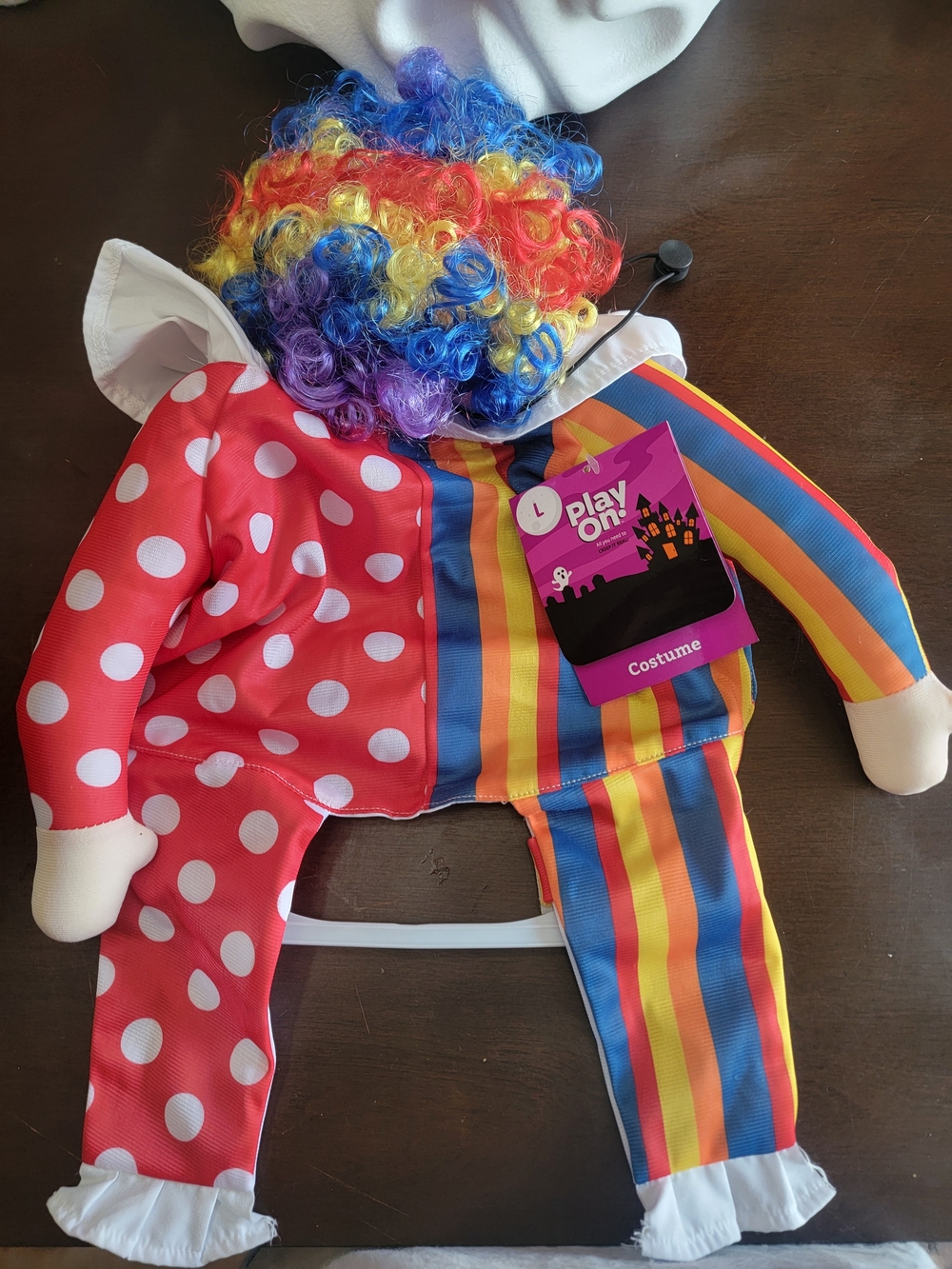 Rainbow Clown Dog Costume - Multicolor